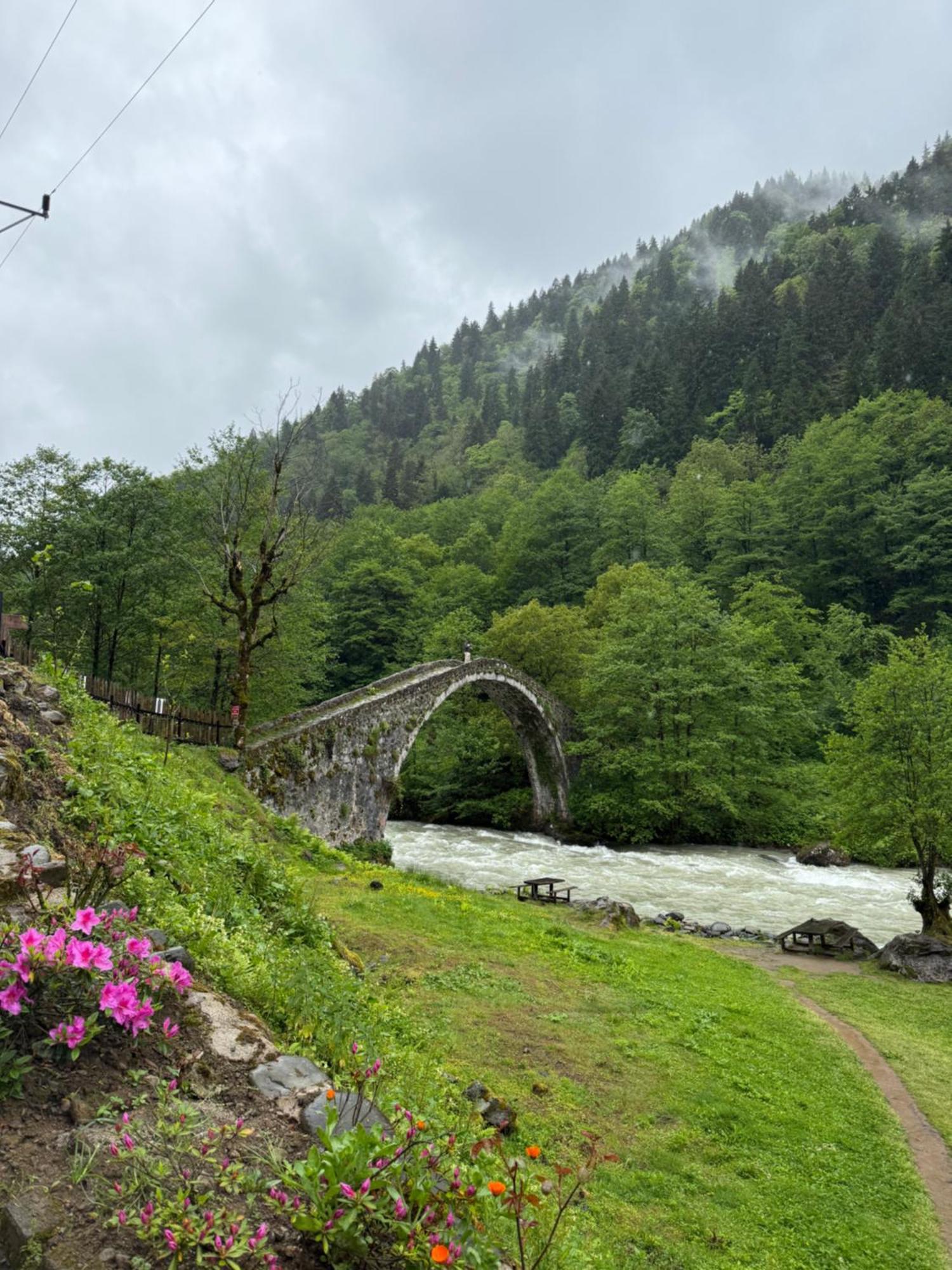 Berona Dag Evleri Çamlıhemşin エクステリア 写真